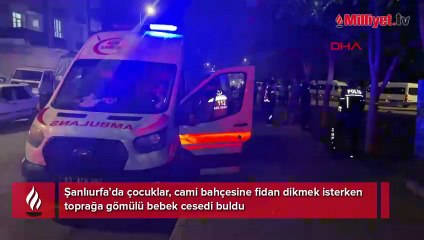 Fidan dikmek isterken kabusla karşılaştılar! Cami bahçesine gömülmüş bebek cesedi bulundu