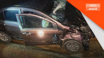 Bayi 11 bulan maut kereta rempuh lembu di Bera