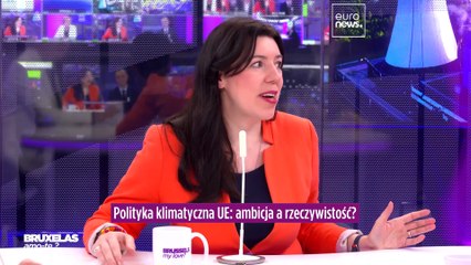 Bruksela, moja miłość? Jaka jest cena polskiej transformacji energetycznej?