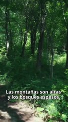 La impresionante belleza realmente quiere hacer ese tipo de cosas conmigo...