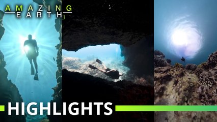 Amazing Earth: Coach Pilyo captures Batangas’ hidden underwater world!