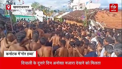 दिवाली के दूसरे दिन एक दूसरे पर 'गोबर' फेंककर मनाते अनोखा त्योहार, कैसे हुई इसकी शुरुआत