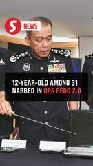 Two boys aged 12 and 17 among 31 nabbed in anti-child porn operation