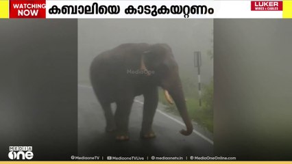 അക്രമകാരിയായ കബാലിയെ കാടുകയറ്റാൻ നടപടിയെടുക്കണം എന്ന ആവശ്യവുമായി അതിരപ്പിള്ളി പഞ്ചായത്ത്