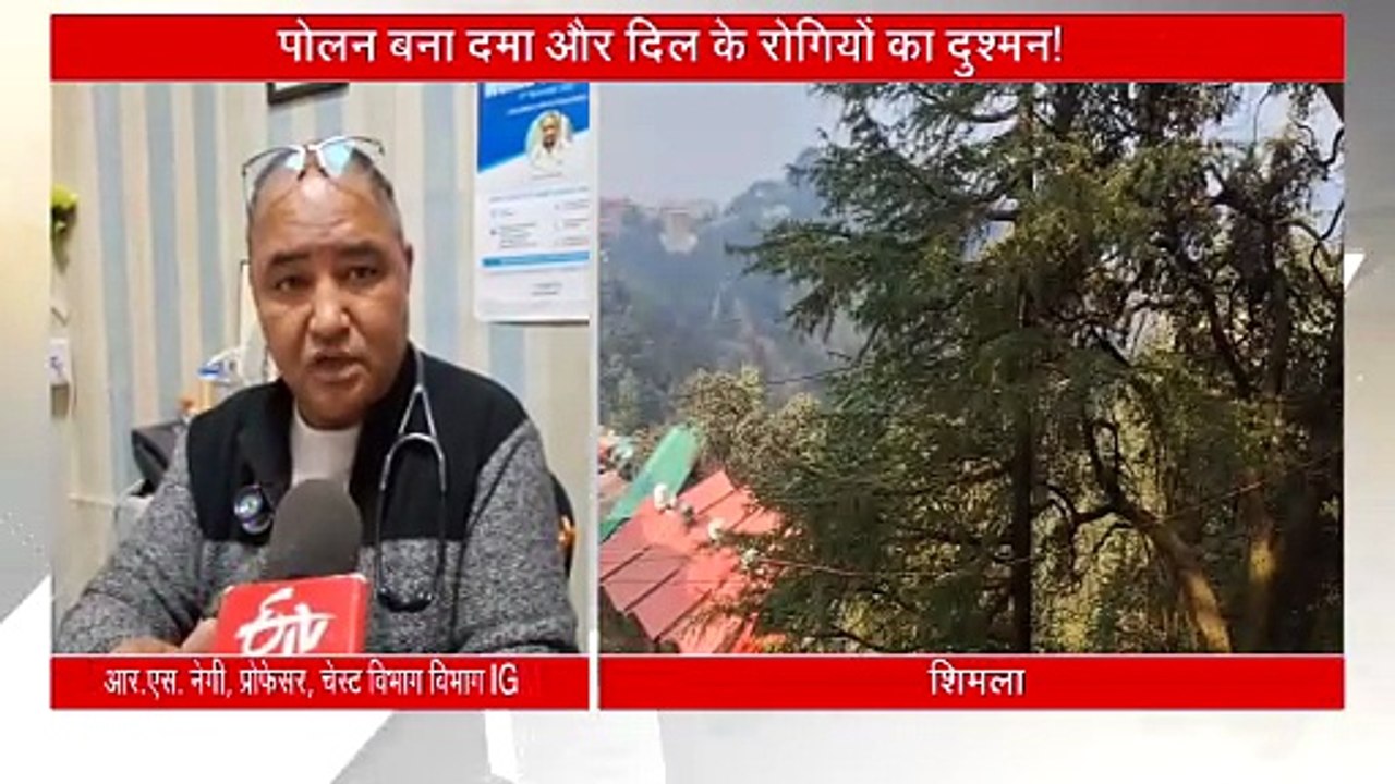 पेड़ों से गिर रहा पोलन बना अस्थमा और दिल के रोगियों का दुश्मन, ऐसे करें बचाव वरना बढ़ सकती है परेशानी