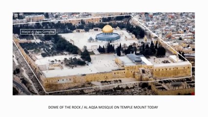 David the King - Melech Israel