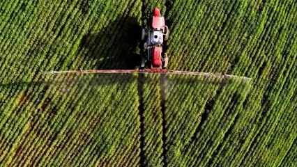 Mariana Grilli: Mato Grosso concentra a maior produção de soja do país