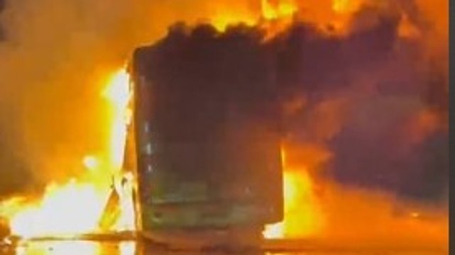 Only see fire around, people screamed in fear: Andhra bus survivor recounts horror