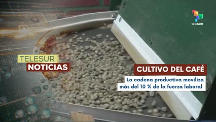 Honduras, consolidó su liderazgo regional de la exportación de café