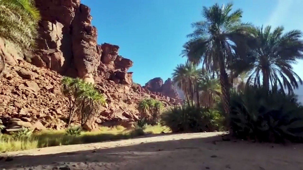 🌄 Wadi Al-Hisa, Saudi Arabia — one of the Kingdom’s hidden treasures.
