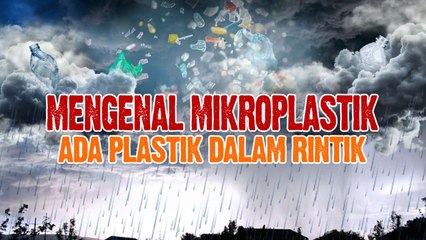 Waspada! Ada Butiran Mikroplastik di dalam Rintik