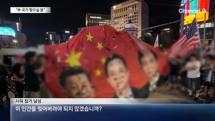 오성홍기 찢은 시위대, APEC 집회 예고