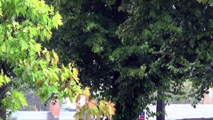 Storm Benjamin causes travel chaos in Kent