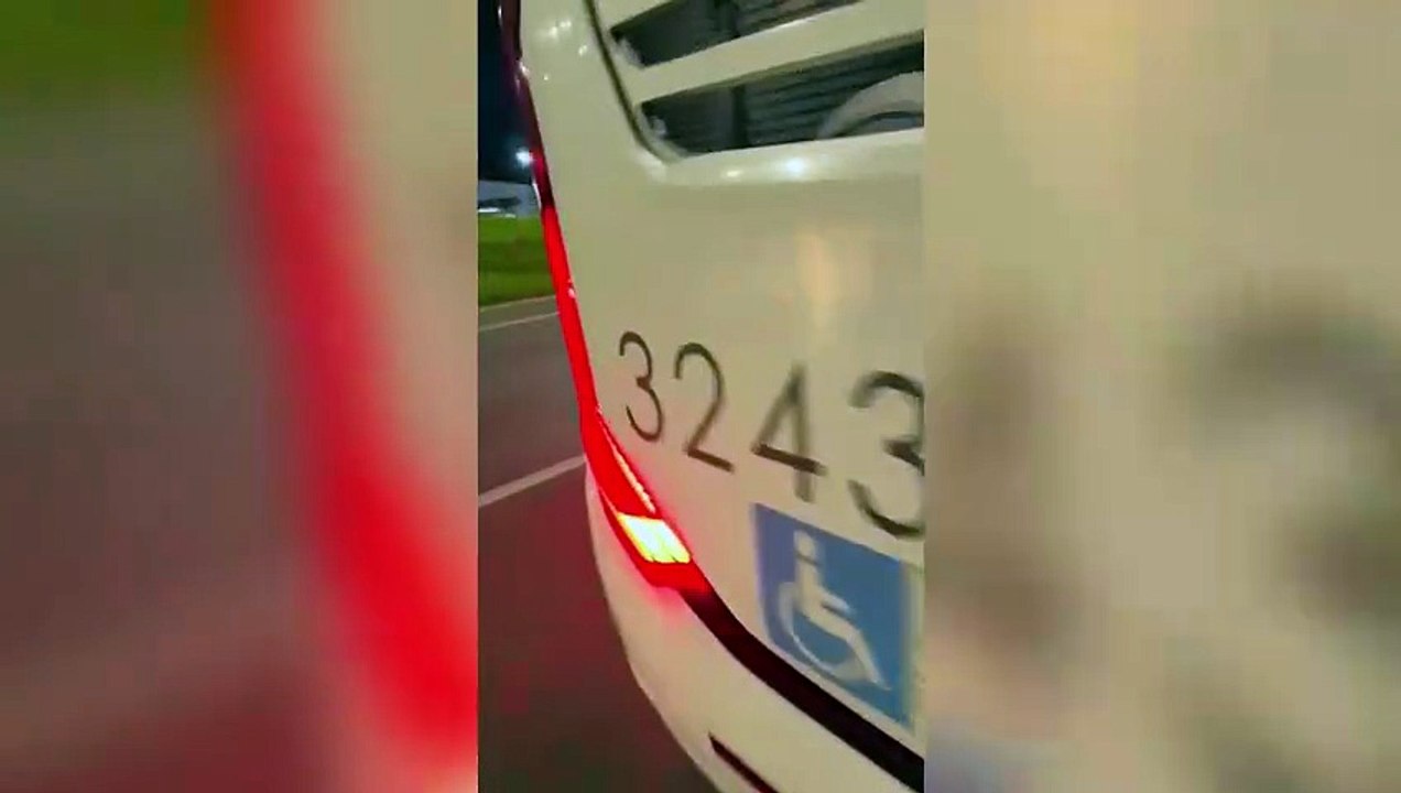 Cães farejadores encontram 37 kg de maconha em ônibus