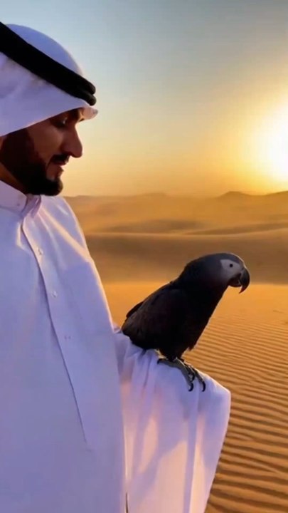 SubhanAllah! Kala Tota Arbi Ke Bazu Par ‘Allah Allah’ Karta Hua – Rohani Manzar