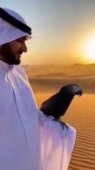 SubhanAllah! Kala Tota Arbi Ke Bazu Par ‘Allah Allah’ Karta Hua – Rohani Manzar