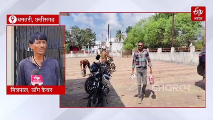 धमतरी में कुत्तों की नसबंदी में लापरवाही, 3 दिन से पकड़ने का काम जारी लेकिन नहीं पहुंचे डॉक्टर, खाने-पीने की भी व्यवस्था सही नहीं