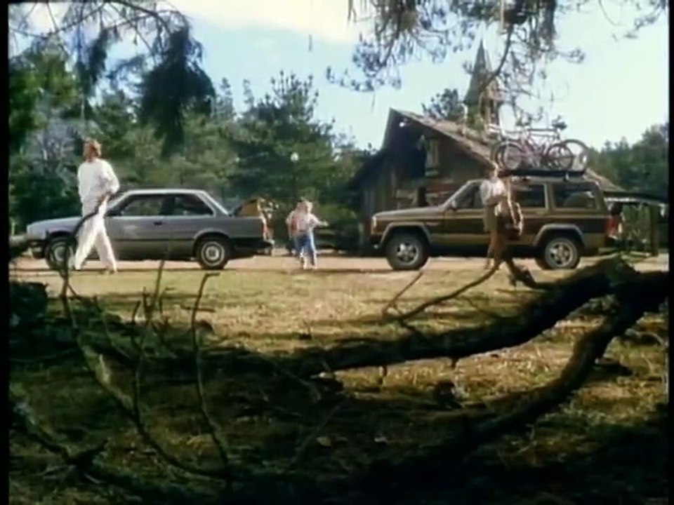 Arachnophobia Movie (1990) - : Jeff Daniels, Harley Jane Kozak, John Goodman