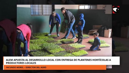 Alem apuesta al desarrollo local con entrega de plantines hortícolas a productores locales.mp4
