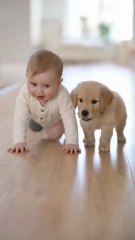 Baby vs Puppy Crawl Race | Who Wins? 😍🐶