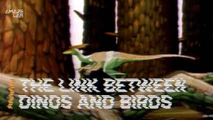 Is This the Missing Link Between Dinosaurs and Birds?