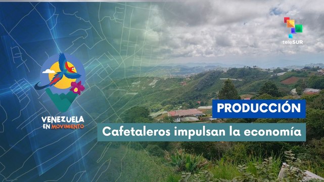 Café artesanal destaca internacionalmente