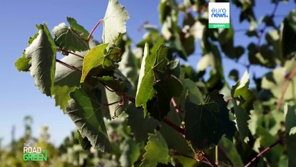 Gli agricoltori europei riusciranno a salvare il ciclo dell'acqua?