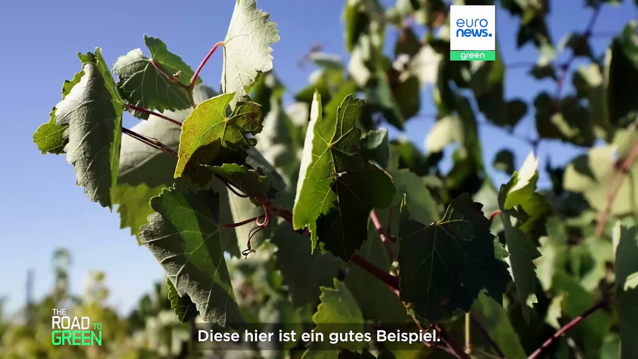 Können die europäischen Landwirte den Wasserkreislauf retten?