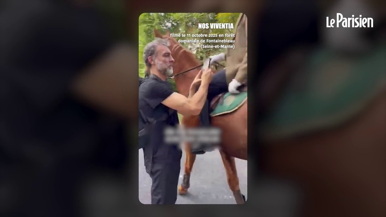 Fontainebleau : un militant anti-chasse agressé pendant une battue