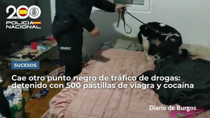 Cae otro punto negro de venta de droga en Burgos: un detenido con más de 500 pastillas de viagra y cocaína