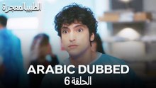 الطبيب المعجزة الحلقة 6 (Arabic Dubbed)