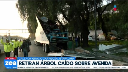 Tráiler que transportaba motocicletas se impactó contra las ramas de un árbol