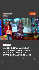 AV. DEL POETA: AVANZAN LOS TRABAJOS TRAS 6 MESES DE CIERRE, OBRA SERÁ ENTREGADA A FIN DE AÑO