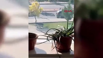 Üniversite kampüsündeki kadın cinayetinde kahreden bir ayrıntı daha