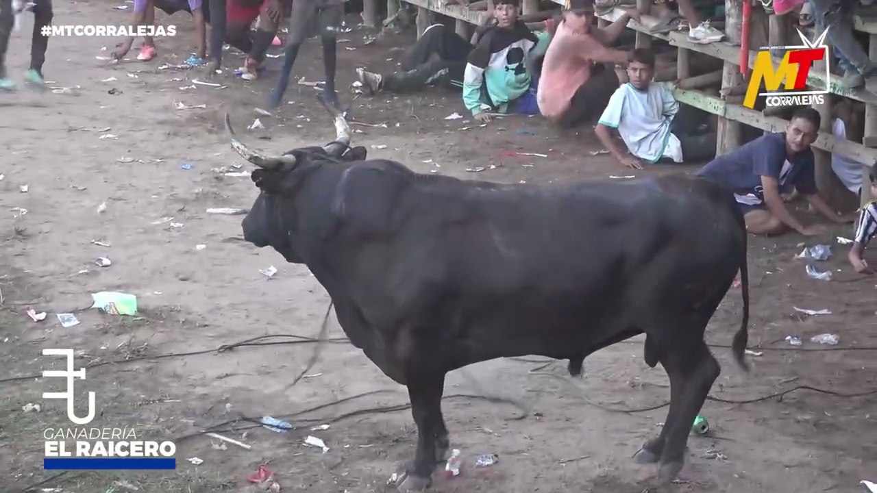 Corralejas Sabanalarga 2025 | Toros de Gabriel Garrido