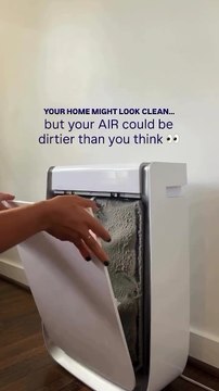 Keep Your Home Safe From Mold and Airborne Pollutants