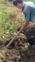 great way to forming,😁😁😁