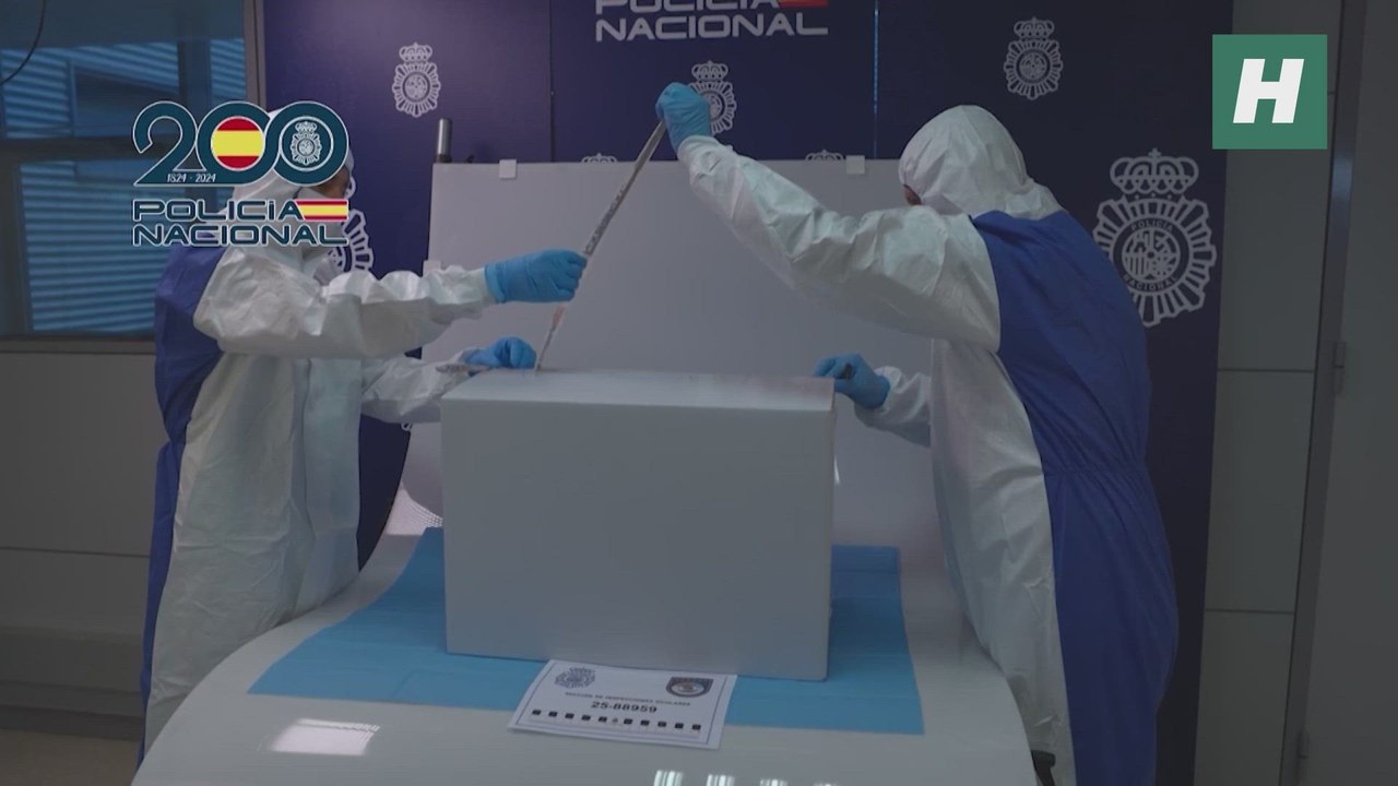 El cuadro de Picasso no salió del portal: lo cogió una vecina que pensó que era un paquete