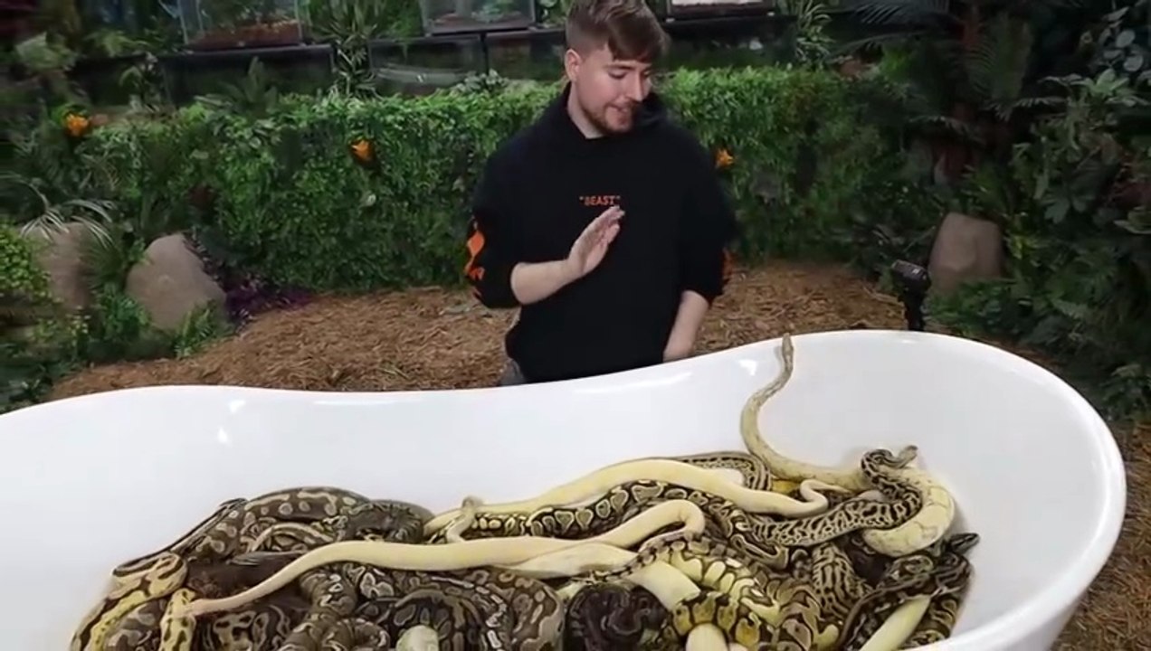 Would You Sit In Snakes For $10,000_