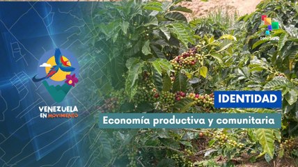 Café venezolano resalta a niveles internacionales