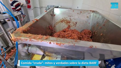 Comida BARF: mitos y verdades de la dieta cruda para animales