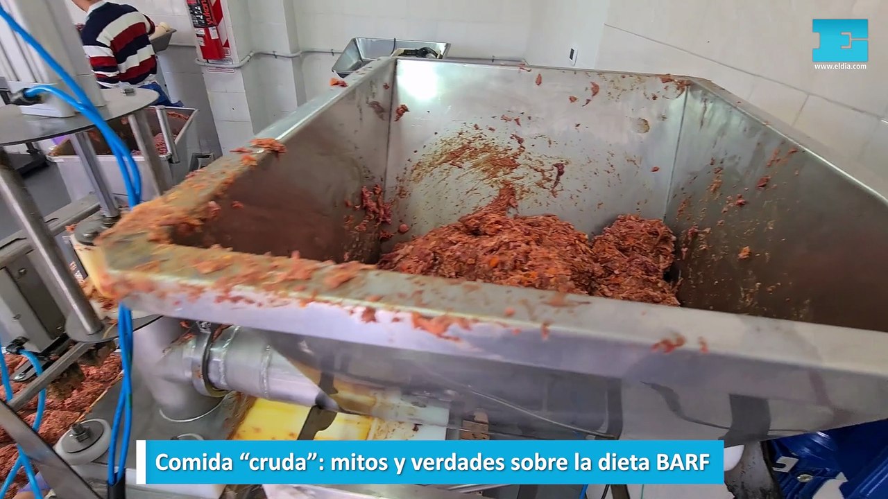 Comida BARF: mitos y verdades de la dieta cruda para animales