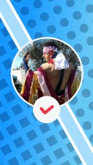 ANALYSE STRATEGIQUE DE MANGA AMPHINOBI