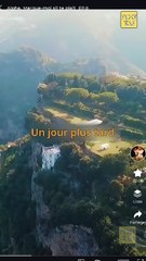 Alpha Marque moi sil te plait