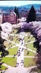 SHHH, PROFESSOR PLEASE DON'T TELL.[Full Episodes]