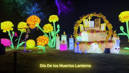 Night of the Jack 2025 Virtual Tour | Halloween Experience