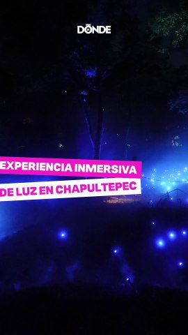 Light Cycles: experiencia lumínica en Chapultepec - Dónde Ir