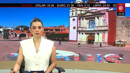 Detectan en Yucatán nuevo 'supermosquito' capaz de transmitir dengue, zika, y más