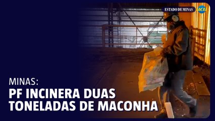 Polícia Federal incinera duas toneladas de maconha