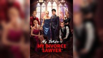 My Wife Is My Divorce Lawyer